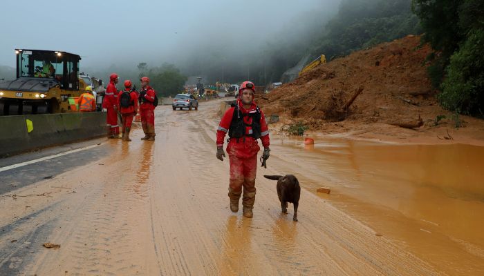 Forças de salvamento fazem nova varredura na BR-376 e não encontram vítimas